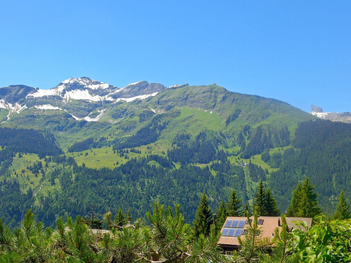 Chalet Zwärgli Wengen Esterno foto