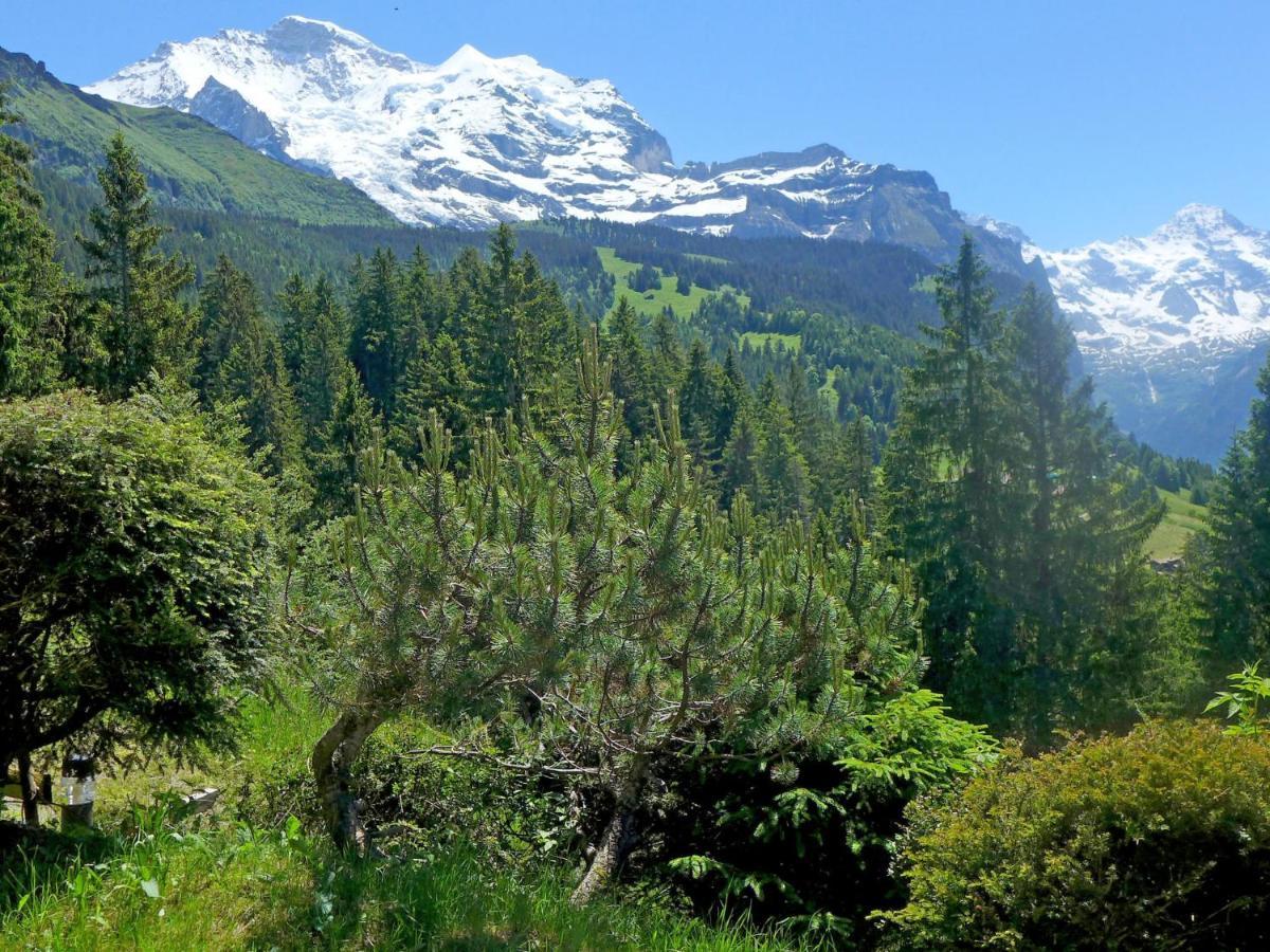 Chalet Zwärgli Wengen Esterno foto