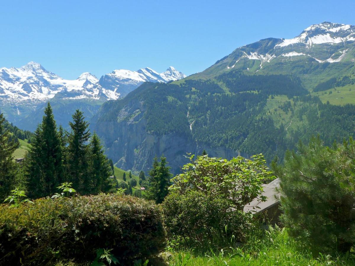 Chalet Zwärgli Wengen Esterno foto