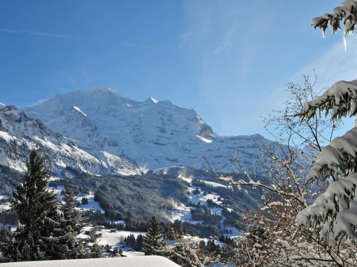 Chalet Zwärgli Wengen Esterno foto